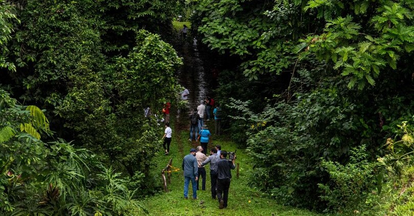 una foto che mostra turisti durante un'escursione nella foresta in Costarica